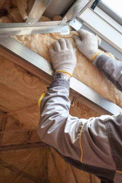 Best Cellulose Insulation in East Aurora, NY