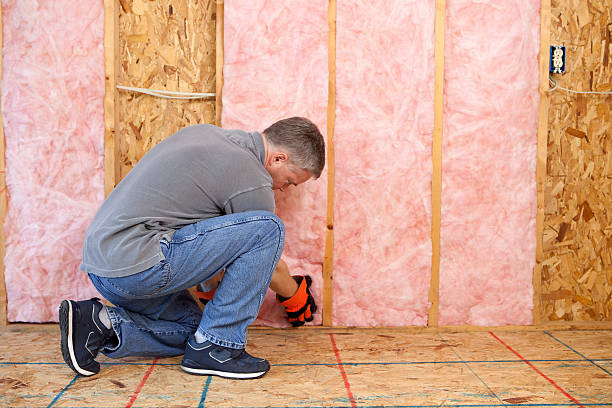 Best Specialized Insulation Services in East Aurora, NY
