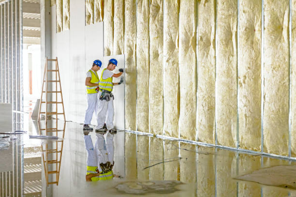 Best Commercial Insulation in East Aurora, NY